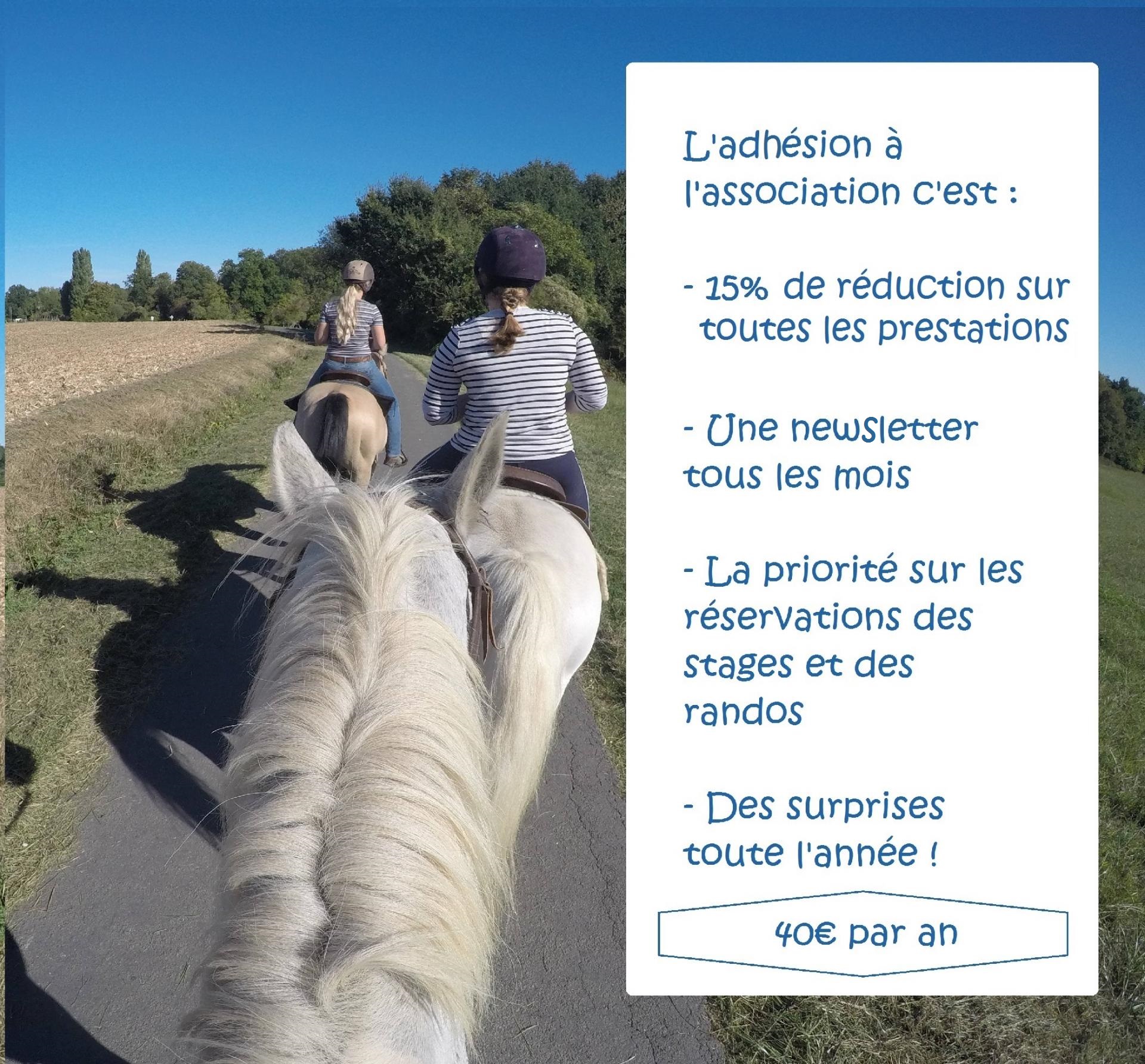 Sans titre 1