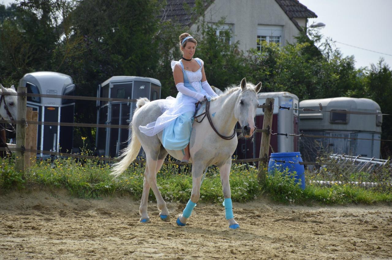 Concours de déguisement Stacy & Blue