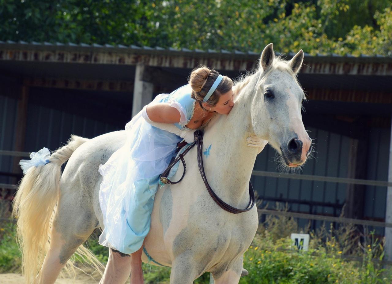 Concours de déguisement Stacy & Blue