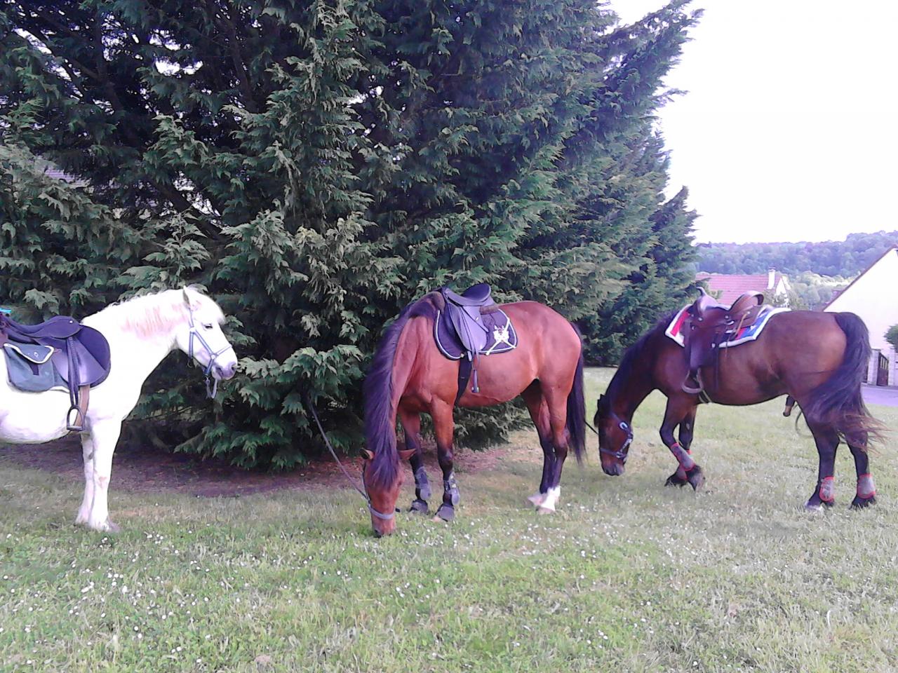 Ballade 2015