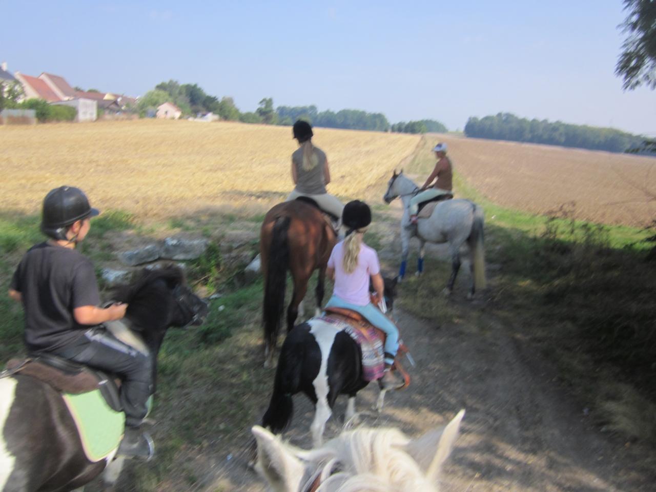 ballade 2014