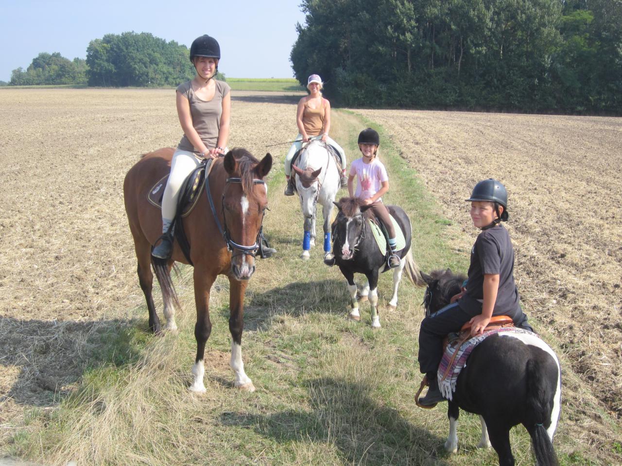 ballade 2014