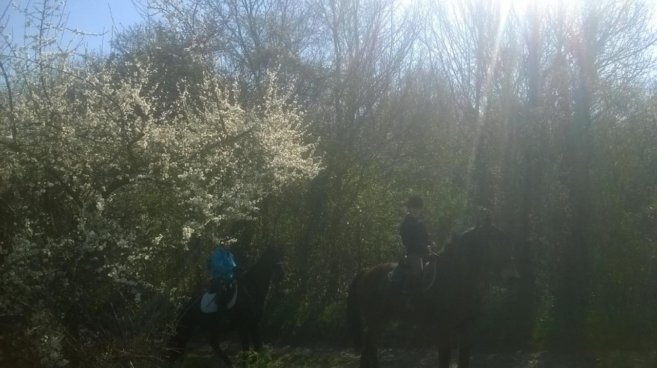 Rando du 02/04/2017 32km