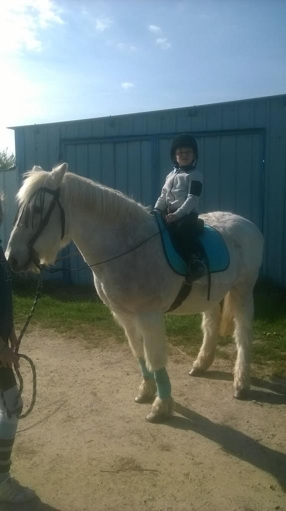 Balade pour Riley et Eclair 14/04/2017